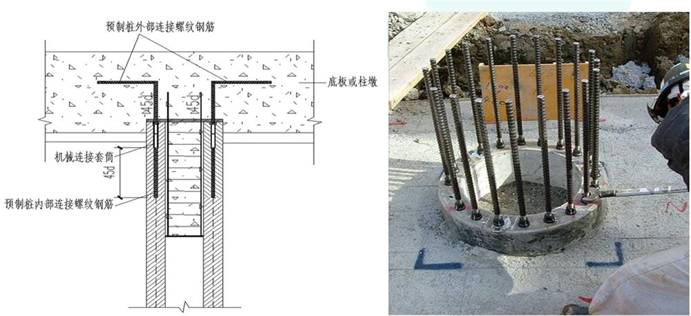 先張法預(yù)應(yīng)力混凝土抗拔管樁（抱箍式連接）(圖5)